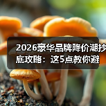 2026豪华品牌降价潮抄底攻略:这5点教你避坑省更多(图3) 2026豪华品牌降价潮抄底攻略:这5点教你避坑省更多(图3)