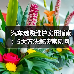 汽车选购维护实用指南：5大方法解决常见问题（图2）