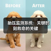 胎压监测系统:关键时刻救命的关键(图2) 胎压监测系统:关键时刻救命的关键(图2)