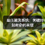 胎压监测系统:关键时刻救命的关键(图1) 胎压监测系统:关键时刻救命的关键(图1)