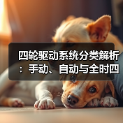 四轮驱动系统分类解析：手动、自动与全时四驱怎么选？（图2）
