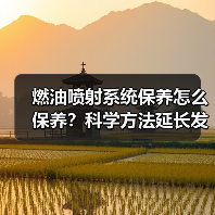 燃油喷射系统保养怎么保养？科学方法延长发动机寿命（图2）