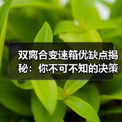 双离合变速箱优缺点揭秘:你不可不知的决策指南(图3) 双离合变速箱优缺点揭秘:你不可不知的决策指南(图3)