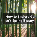How to Explore Gansu's Spring Beauty: A Traveler's Guide(图1) How to Explore Gansu's Spring Beauty: A Traveler's Guide(图1)